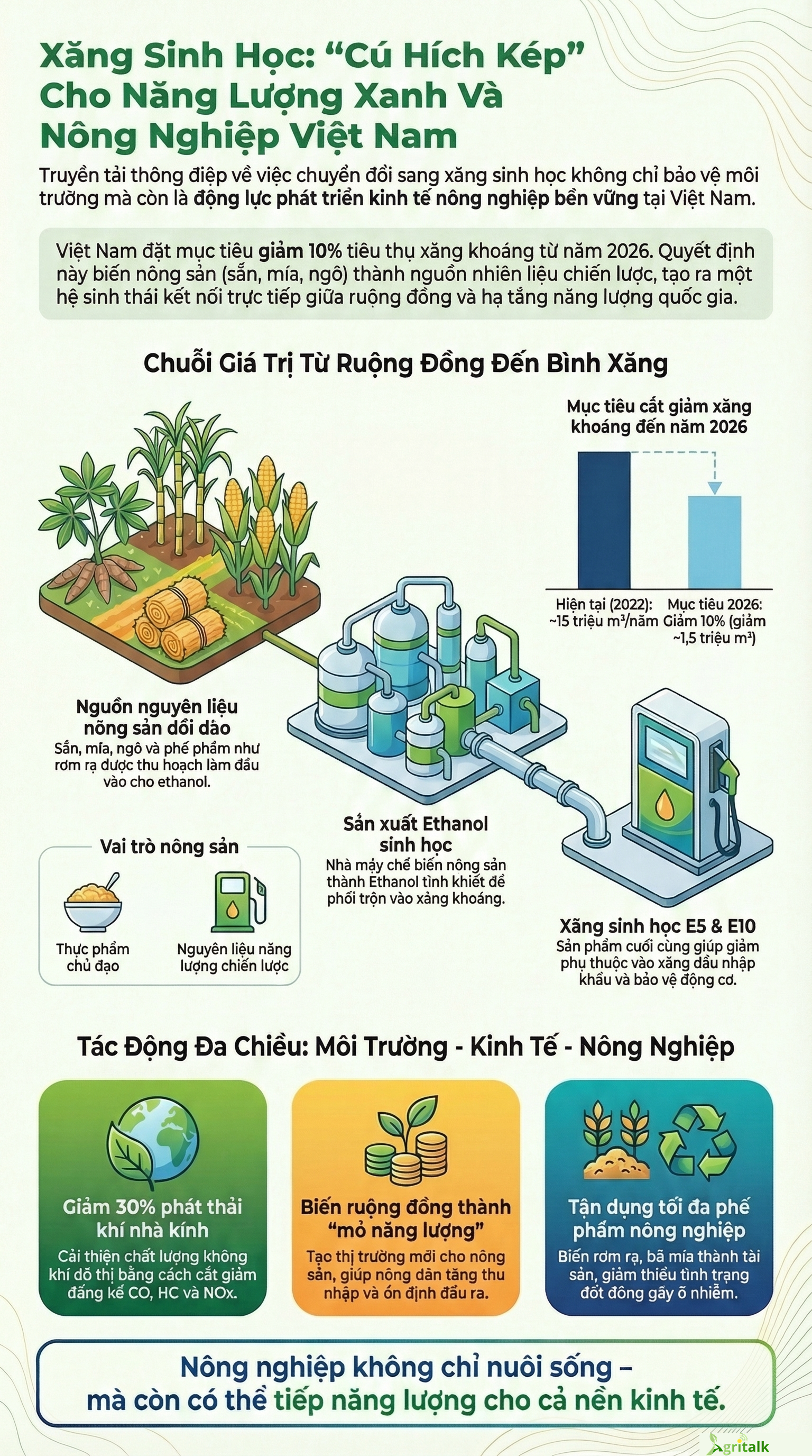 phat-trien-xang-sinh-hoc-viet-nam-1774236207.png