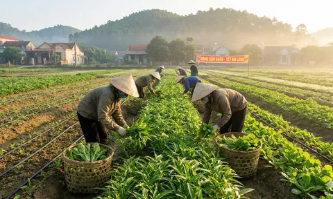Nông nghiệp trụ cột sau 40 năm Đổi mới: Kỳ vọng bứt phá