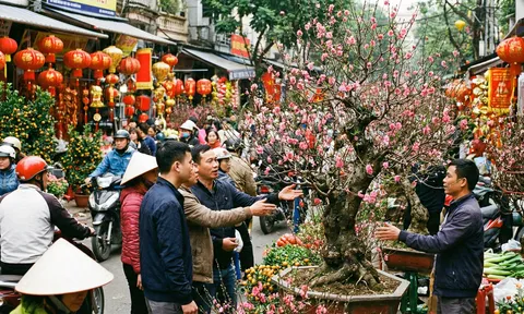 “Phù phép” gốc cây củi khô thành gia tài: Lão nông Nghệ An đút túi nửa tỷ đồng vụ Tết 2026