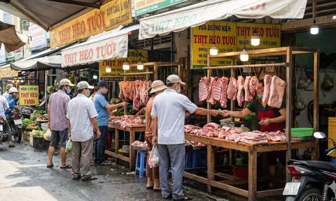 Sát Tết Nguyên Đán, giá thịt lợn tại TP.HCM "nhảy múa": Nỗi lo kép của người nội trợ và doanh nghiệp