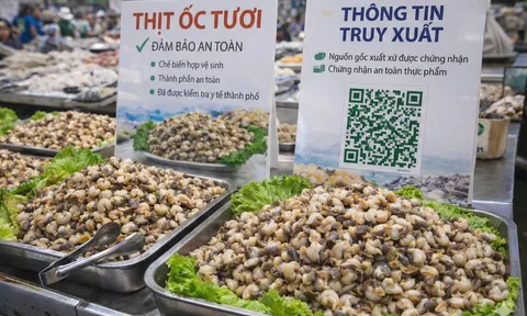 500 Tấn Hóa Chất "Tắm" Trắng 3.000 Tấn Ốc: Khi Lương Tâm Bị Đánh Tráo Bằng Lợi Nhuận