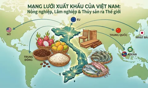 Tầm nhìn nông nghiệp Việt Nam 2026: Hành trình chạm mốc 74 tỷ USD