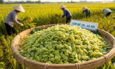 Bánh chưng cốm Mễ Trì: Khi "hương đồng gió nội" Hà thành làm mới vị Tết cổ truyền
