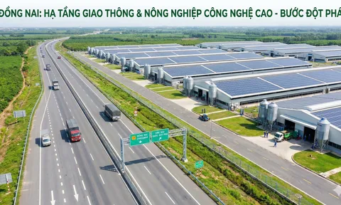 Đồng Nai tạo "cú hích kép": Thông mạch giao thông chiến lược, mở hướng chăn nuôi công nghệ cao quy mô lớn