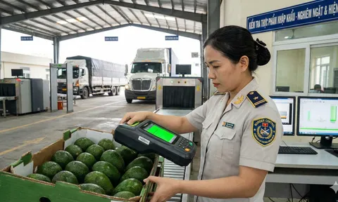 Nút thắt kiểm tra thực phẩm nhập khẩu: Làm sao để vừa "sạch", vừa "nhanh"?