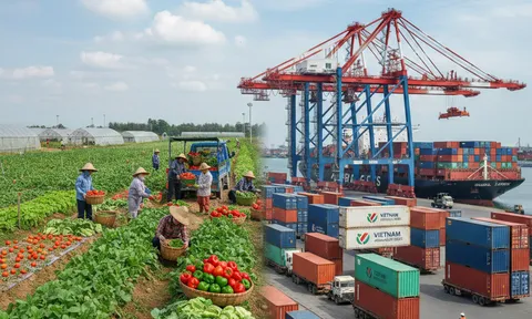 Nông Lâm Thủy Sản "Mở Bát" Đầu Năm 2026: Kỷ Lục 6,5 Tỷ USD Và Cú Hích Từ Những Mảnh Vườn Công Nghệ