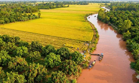 Miền Nam: Khi Phù Sa Dệt Nên "Gấm Vàng" Nông Nghiệp