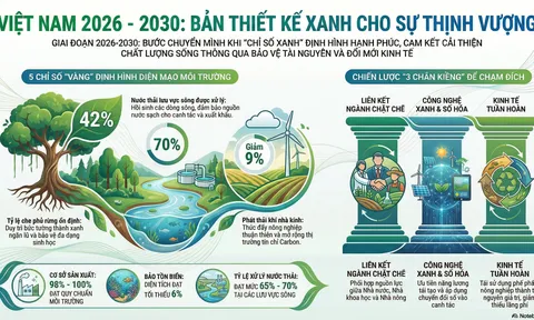 Việt Nam 2026 - 2030: Khi "Chỉ số Xanh" trở thành thước đo hạnh phúc