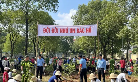 Phát động Tết trồng cây “Đời đời nhớ ơn Bác Hồ” Xuân Bính Ngọ 2026: 15.000 cây xanh và hành trình vì Việt Nam xanh