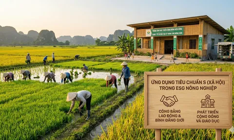 Tiêu chuẩn “S” trong ESG: Áp lực mới, lối ra mới cho doanh nghiệp dệt may và nông sản Việt