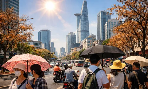 TP.HCM sắp chạm ngưỡng 38°C: Nắng nóng cực đoan đặt nông nghiệp vào thế “chịu nhiệt”