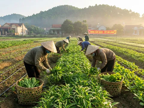 Nông nghiệp trụ cột sau 40 năm Đổi mới: Kỳ vọng bứt phá