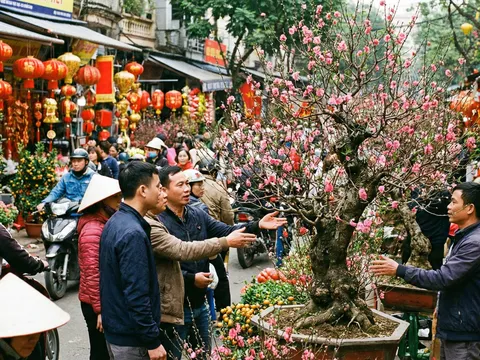 “Phù phép” gốc cây củi khô thành gia tài: Lão nông Nghệ An đút túi nửa tỷ đồng vụ Tết 2026