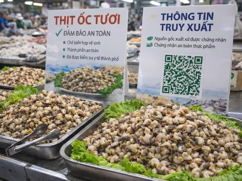 500 Tấn Hóa Chất "Tắm" Trắng 3.000 Tấn Ốc: Khi Lương Tâm Bị Đánh Tráo Bằng Lợi Nhuận