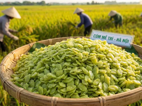 Bánh chưng cốm Mễ Trì: Khi "hương đồng gió nội" Hà thành làm mới vị Tết cổ truyền