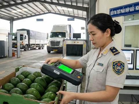 Nút thắt kiểm tra thực phẩm nhập khẩu: Làm sao để vừa "sạch", vừa "nhanh"?