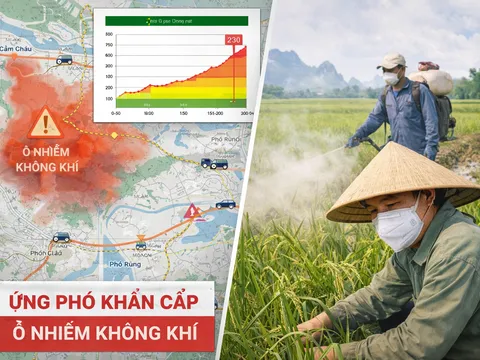 Khi vùng quê "khó thở": Báo động đỏ ô nhiễm không khí đe dọa vựa lúa Việt Nam
