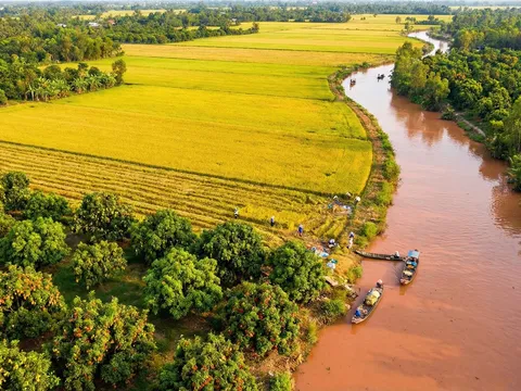 Miền Nam: Khi Phù Sa Dệt Nên "Gấm Vàng" Nông Nghiệp