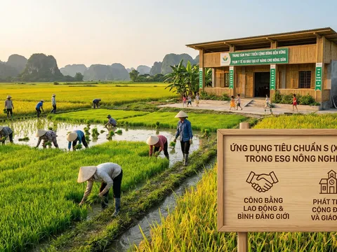 Tiêu chuẩn “S” trong ESG: Áp lực mới, lối ra mới cho doanh nghiệp dệt may và nông sản Việt